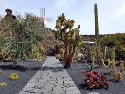 021  Lanzarote Cactus Garden.jpg